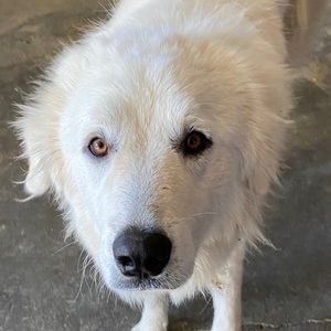 Meet your Posher, Macy